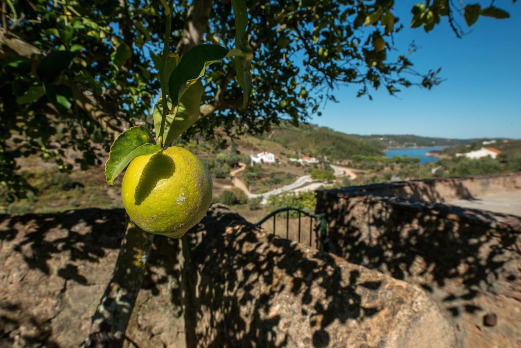 Quinta Da Eira Velha ξενώνας Aldeia do Mato  Εξωτερικό φωτογραφία